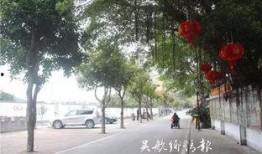 西安双竹村最新爆料新闻,揭秘古村落神秘往事与现状变迁
