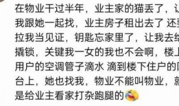 免费的吃瓜群的qq,QQ社交新玩法