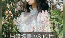 咸宁大爆料完整视频,揭秘事件真相，视频内容深度解析
