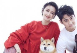 张歆艺互相爆料视频,娱乐圈好友间的真实友谊与调侃