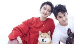 张歆艺互相爆料视频,娱乐圈好友间的真实友谊与调侃