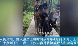 网红爆料野人视频播放,揭秘原始森林的未知生物之谜