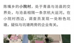 老陈最新爆料新闻视频播放,最新爆料新闻视频幕后真相大起底