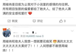 有一本爆料娱乐圈的小说,揭秘明星背后的真实故事