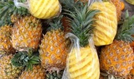 菠萝最新爆料内容