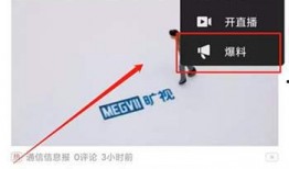 有视频怎么爆料别人,揭秘他人隐私，勇敢曝光不公行为
