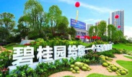 襄阳碧桂园爆料案件最新,揭秘豪宅纠纷背后的真相