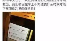 最新版卡片爆料视频,全新技能与策略解析