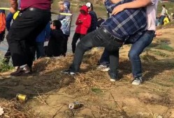 大杨哥钓鱼爆料视频大全,视频大全中的垂钓智慧与技巧