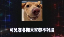娱乐八卦吃瓜部,明星背后的那些事儿