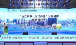 沅江市新闻爆料网站,本地热点事件盘点与最新动态一览