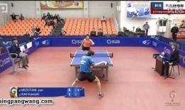 乒乓冠军爆料视频播放在线观看,揭秘赛场幕后精彩瞬间