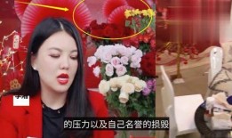 直播爆料港星视频大全集,经典视频大全集精彩回顾
