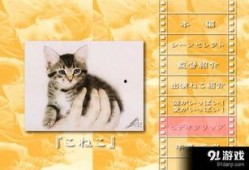 小猫虎子被爆料视频,萌态可掬的视频引发网友热议