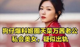 万茜视频被爆料了吗,真相与舆论的交织