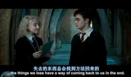 哈利波特与凤凰社在线观看,揭秘魔法世界的神秘联盟