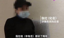 钱被骗怎么爆料家人呢视频,如何巧妙向家人爆料骗术