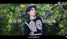 蔡徐坤之后的爆料视频大全,揭秘明星背后的真实故事