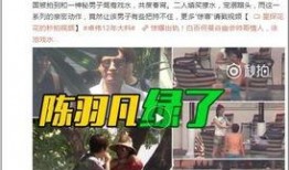 阿诺最新爆料视频播放,精彩瞬间与幕后故事大公开