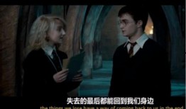 哈利波特与凤凰社在线观看,揭秘魔法世界的神秘联盟