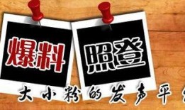 中学生新闻爆料平台有哪些,中学生新闻爆料平台概览