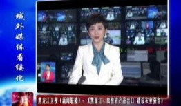 黑龙江十大爆料新闻视频,揭秘黑土地上的风云变幻