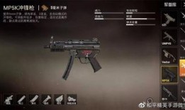 手册枪械爆料怎么做视频,打造震撼视频攻略全解析