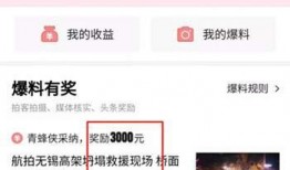 头条爆料采访视频,揭秘采访视频背后的惊人内幕