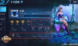 王者爆料樱花视频下载,揭秘视频背后的精彩瞬间