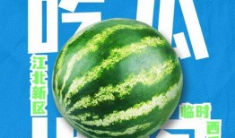 娱乐吃瓜资料来源于什么,揭秘娱乐圈吃瓜资料的来源与传播