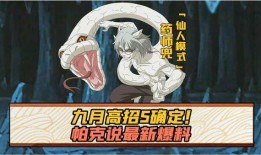 帕克最新爆料佐助图片,帕克最新爆料揭示惊人转变