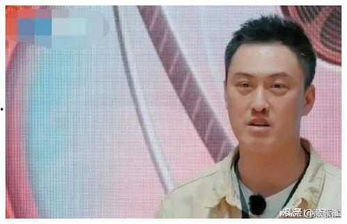 娱乐圈吃瓜爆料怀孕,怀孕喜讯引爆八卦热潮！